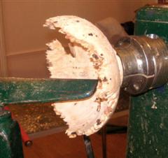 Another horse chestnut burr bowl nearly finished